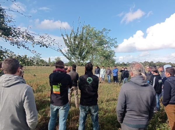 Biopratiquent agroforesterie