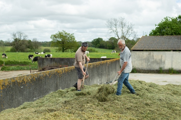 Agriculteurs bio travaillant à la ferme à l'ensilage