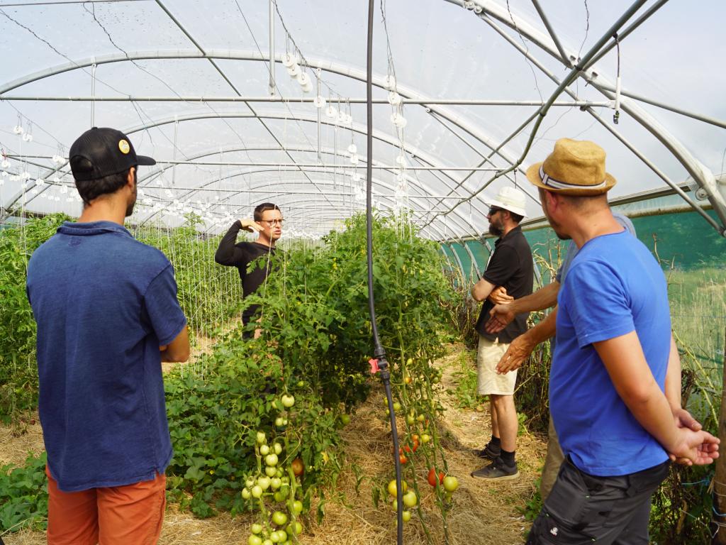 Groupe de 4 personnes échangeant autour de pieds de tomates dans une serre.