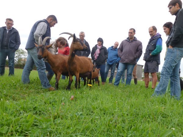 producteurs chèvres bio