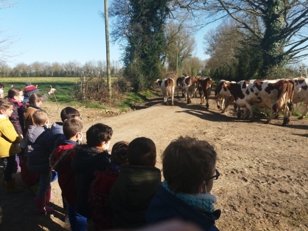 élèves visite de ferme bio